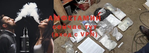 прущие грибы Аша