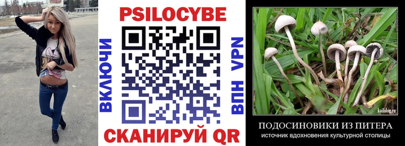 Псилоцибиновые грибы MAGIC MUSHROOMS  где можно купить   Кушва 